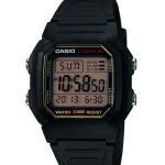 ساعت مچی مردانه کاسیو 
مدل CASIO-W-800HG-9AV