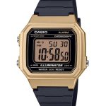 ساعت مچی کاسیو
مدل CASIO-W-217HM-9A