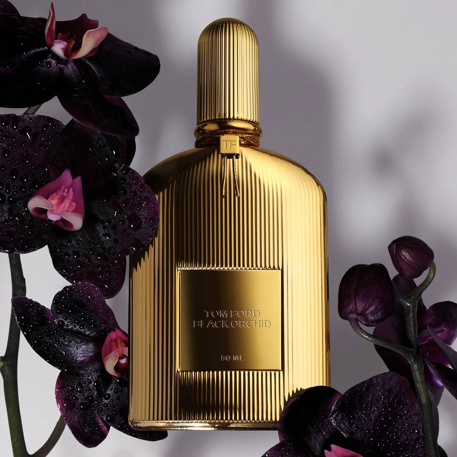 عطر تام فورد مدل Black Orchid Gold