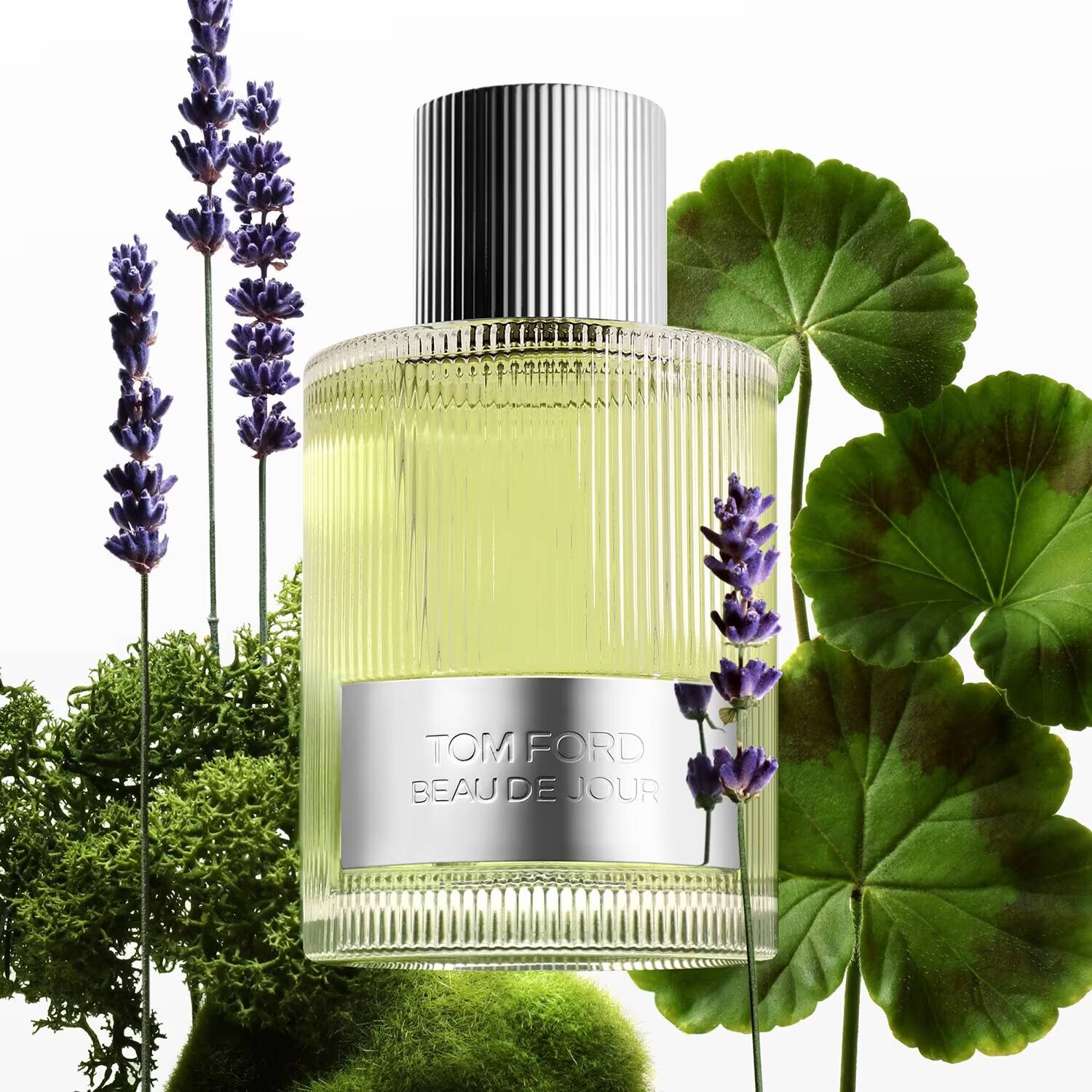 عطر تام فورد مدل Beau de Jour