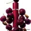 عطر تام فورد مدل Lost Cherry