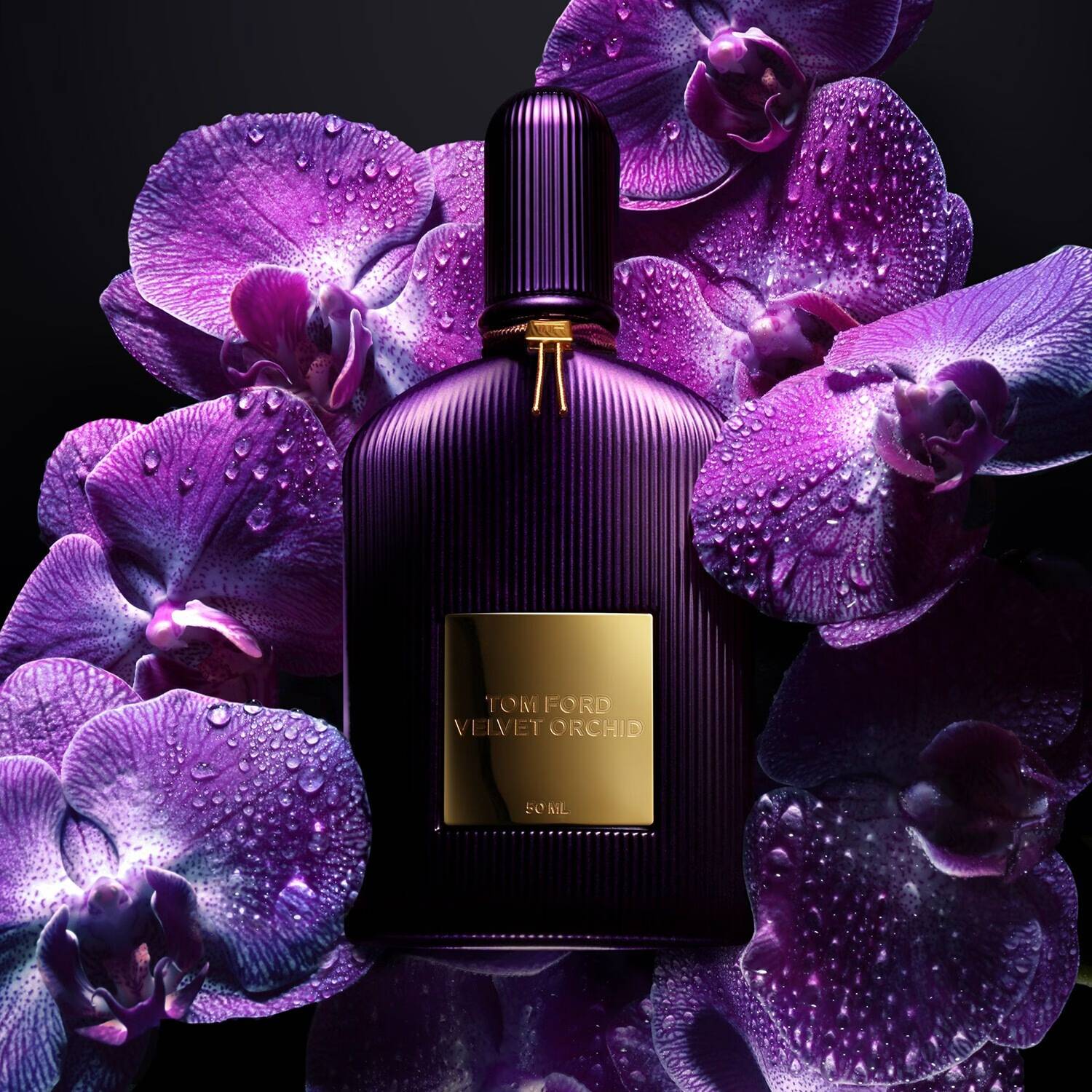 عطر تام فورد مدل Velvet Orchid