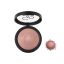 رژ گونه گلدن رز مدل Terracotta شماره 111