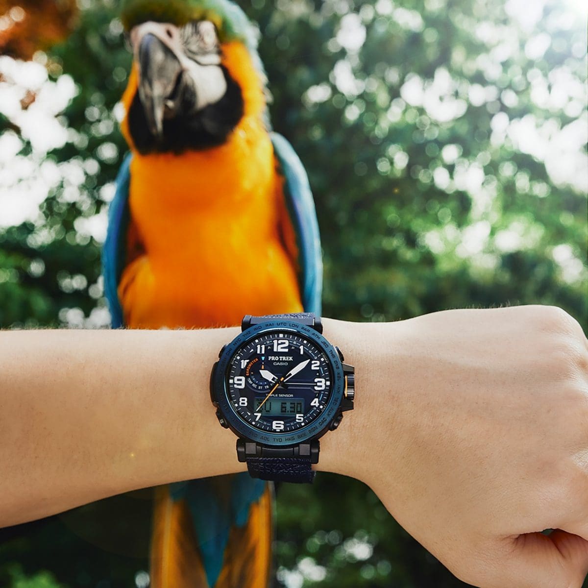 ساعت مچی مردانه PRO TREK مدل CASIO-PRG-601YB-2DR