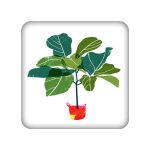 آینه جیبی مدل گیاه کد 985