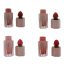 رژ گونه مایع رزبری مدل blush کد 01 مجموعه 4 عددی