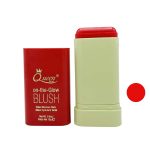 رژ گونه مینی کویین کد 04