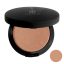 رژ گونه گریس شماره 502