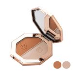 رژگونه و هایلایتر ناوی شماره 501