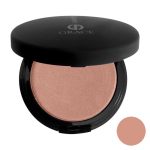 رژ گونه گریس سری Pro شماره 501