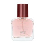 عطر جیبی مردانه نایس مدلBurberry حجم 35 میلی لیتر