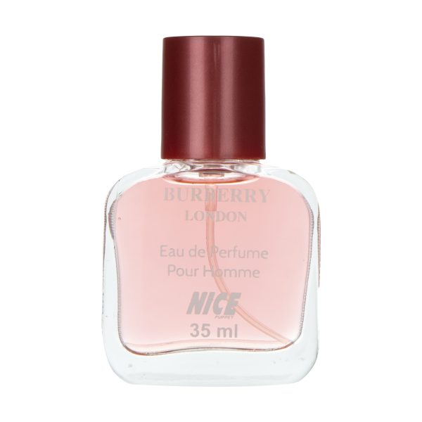 عطر جیبی مردانه نایس مدلBurberry حجم 35 میلی لیتر