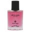 عطر جیبی مردانه وودی سنس مدل Silver Scent حجم 30 میلی لیتر