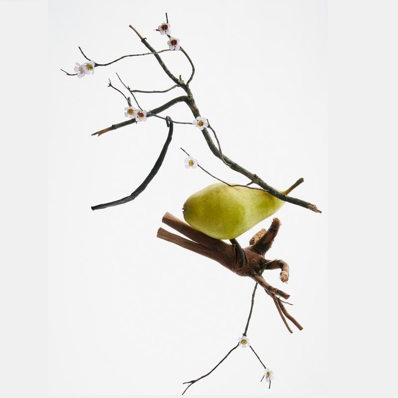 عطر زنانه زارا مدل هیپونتیک وانیلا بلوم حجم 80 میلی لیتر کد 0611