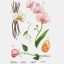 عطر زنانه زارا مدل پینک فلامبی حجم 90 میلی لیتر کد 2610