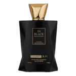 ادو پرفیوم مردانه رودیر پلاس مدل In Black حجم 100 میلی لیتر