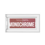 پالت سایه چشم پاستل مدل MONOCHROME شماره 29