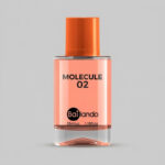 عطر جیبی بایلندو مدل مولکول 02 با رایحه خنک حجم 35 میلی‌لیتر